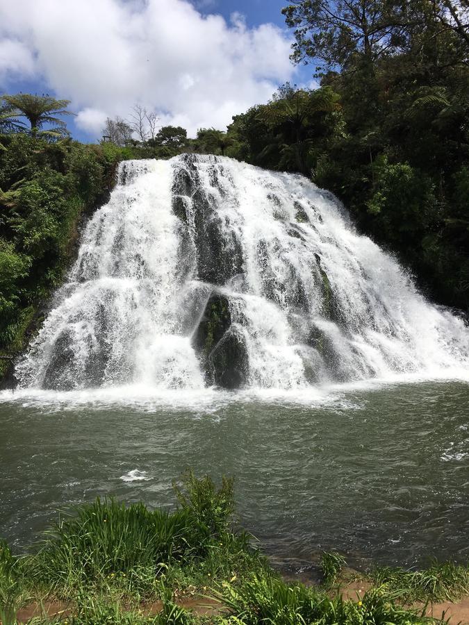 Birds Eye View Bed And Breakfast Waihi Exterior foto